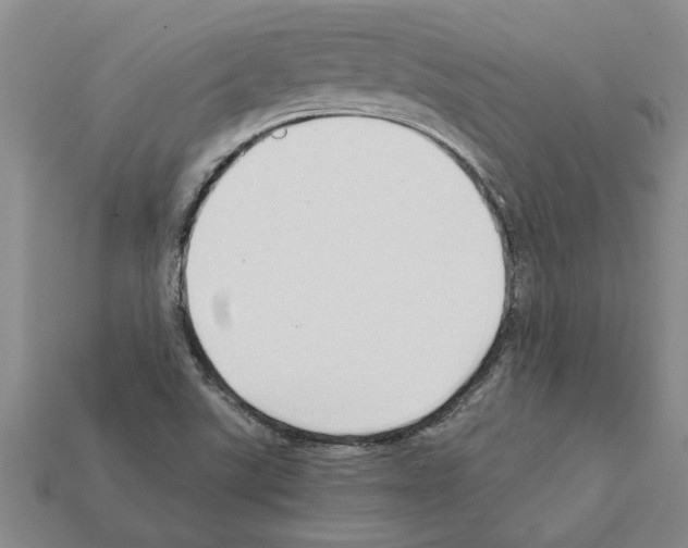 X0000111951507200909071309