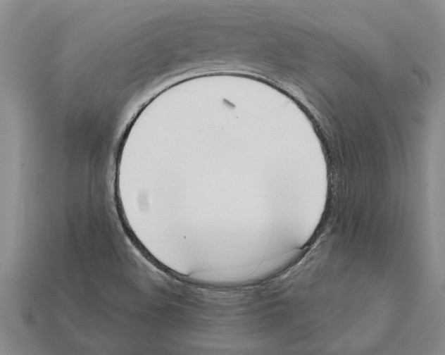 X0000111951508200909071309