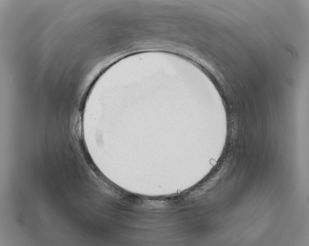 X0000111951509200909071309