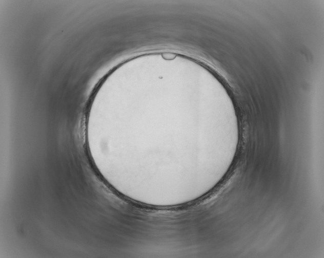 X0000111951510200909071309