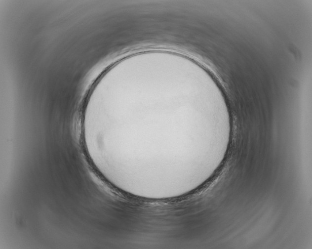 X0000111951511200909071309