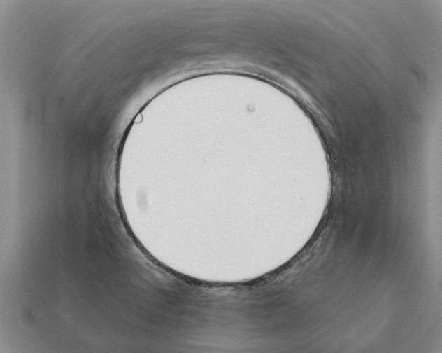 X0000111951512200909071309