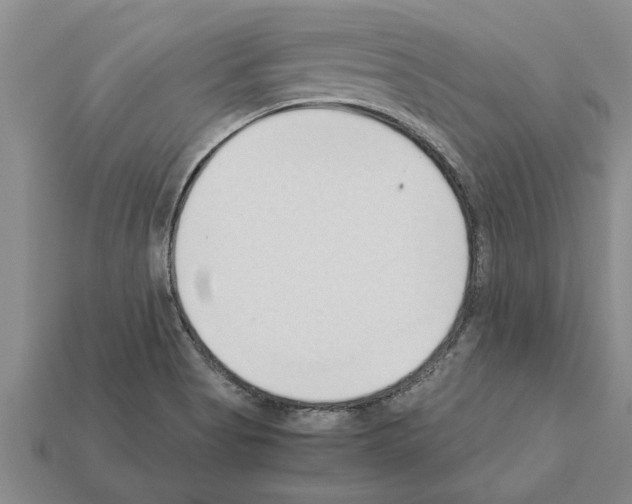 X0000111951513200909071309