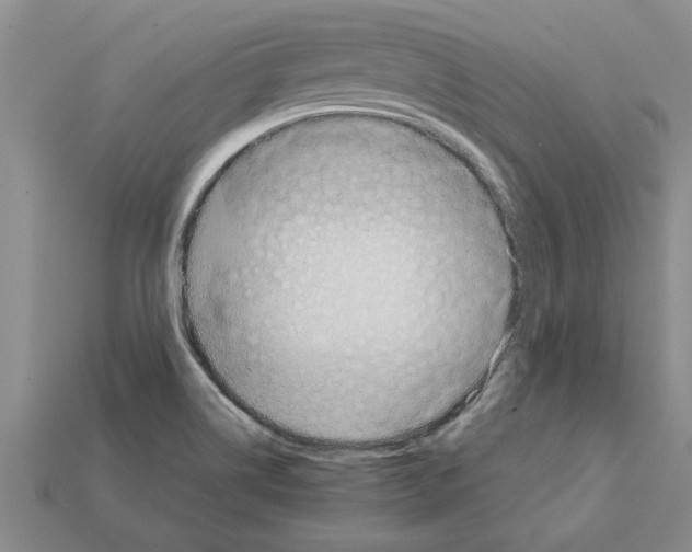 X0000111951514200909071309