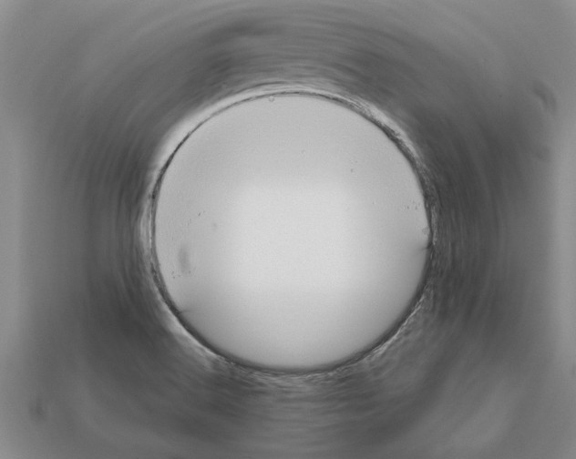 X0000111951516200909071309