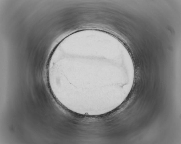 X0000111951517200909071309