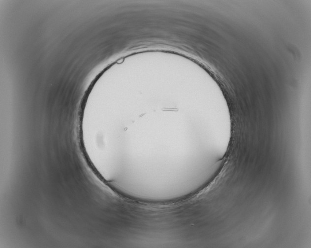 X0000111951518200909071309