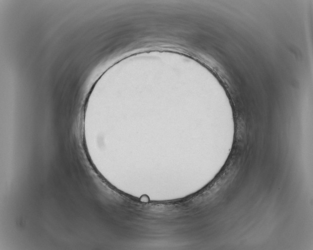X0000111951520200909071309