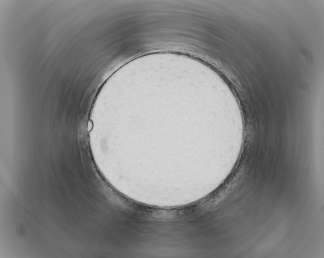 X0000111951521200909071309