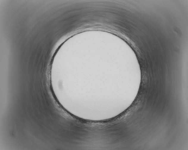 X0000111951522200909071309