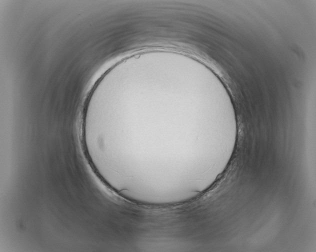 X0000111951523200909071309