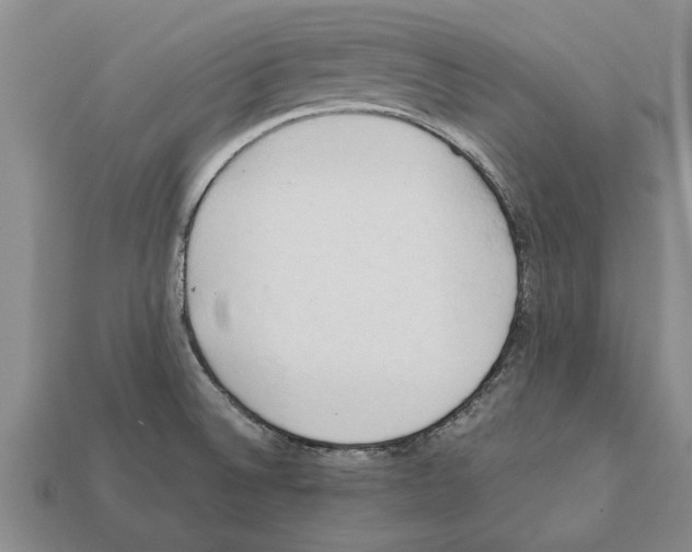 X0000111951524200909071309