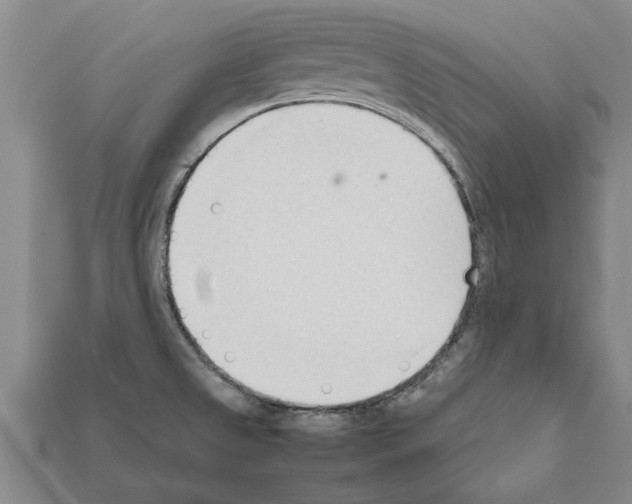 X0000111951525200909071309