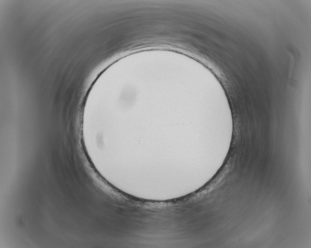 X0000111951526200909071309