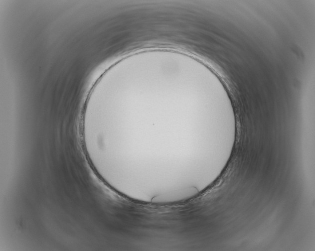 X0000111951527200909071309