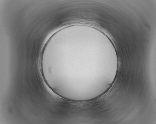 X0000111951531200909071309