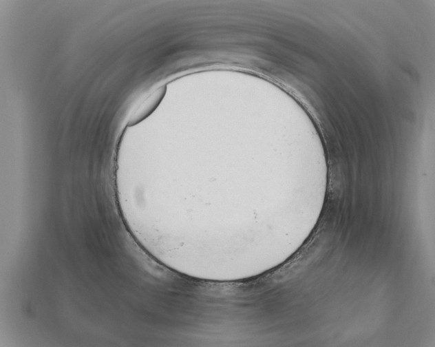 X0000111951532200909071310