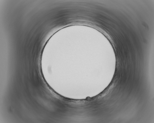 X0000111951533200909071310