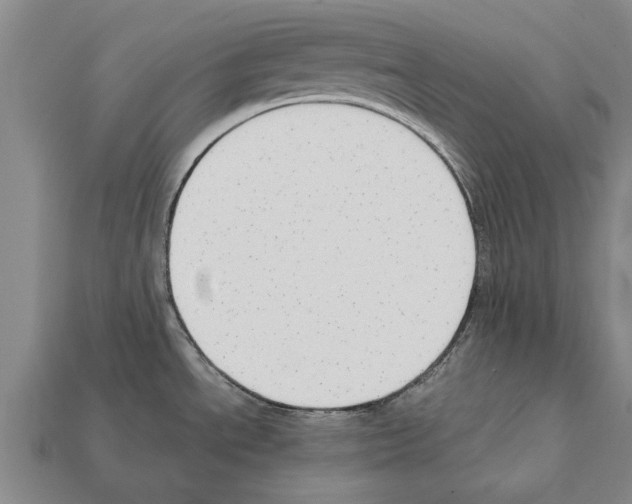 X0000111951534200909071310