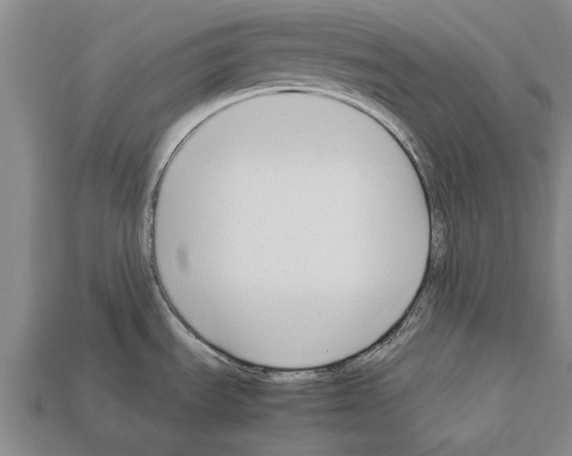 X0000111951535200909071310