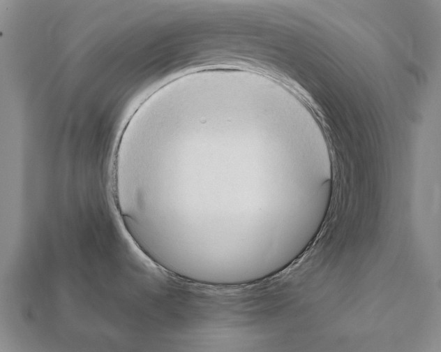 X0000111951536200909071310