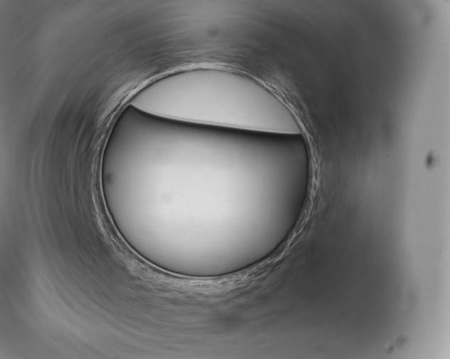 X0000112000001200908031058