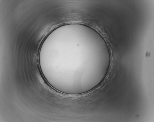 X0000112000002200908031058