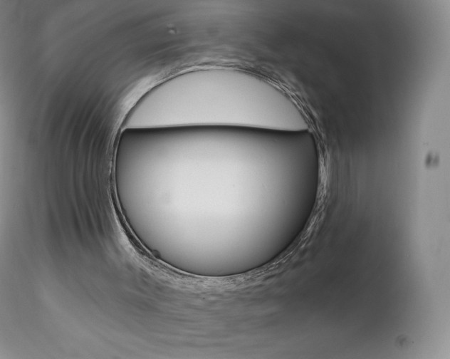 X0000112000003200908031058