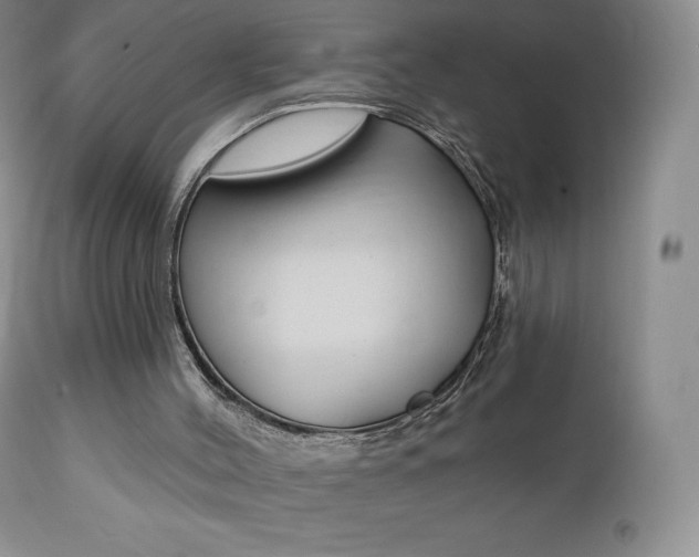 X0000112000004200908031058