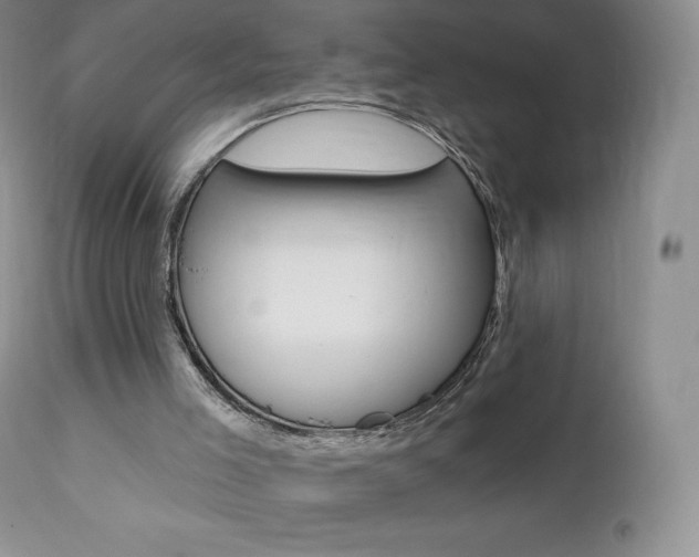 X0000112000005200908031058