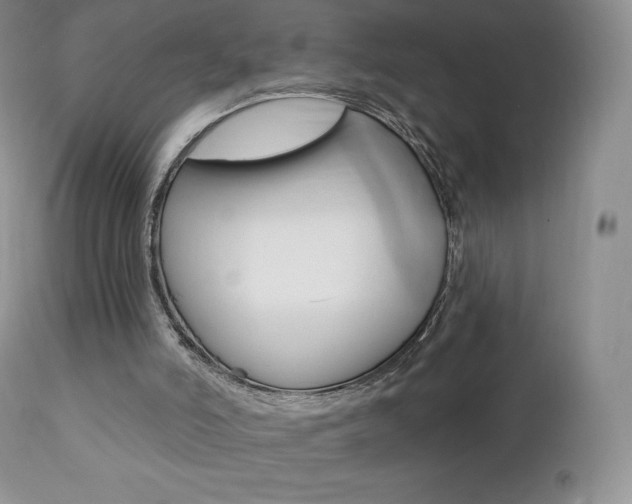 X0000112000006200908031058