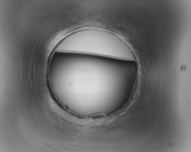 X0000112000007200908031058
