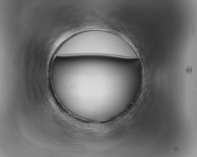 X0000112000008200908031058