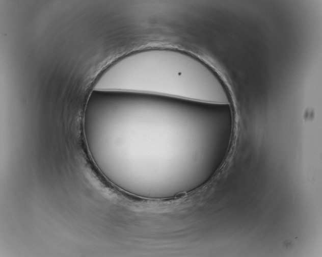 X0000112000009200908031058