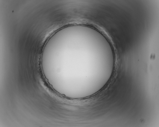 X0000112000010200908031058