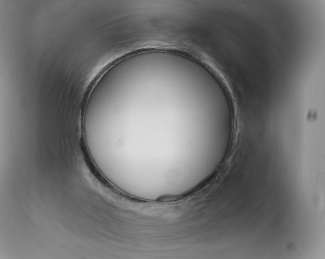 X0000112000011200908031058