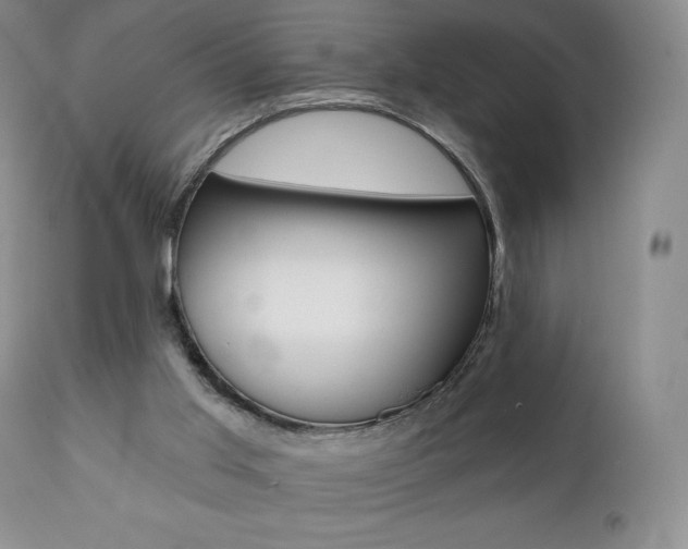 X0000112000013200908031058