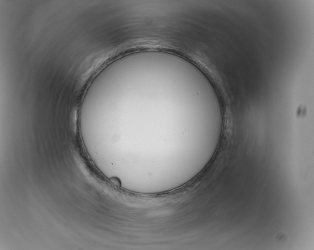 X0000112000014200908031058