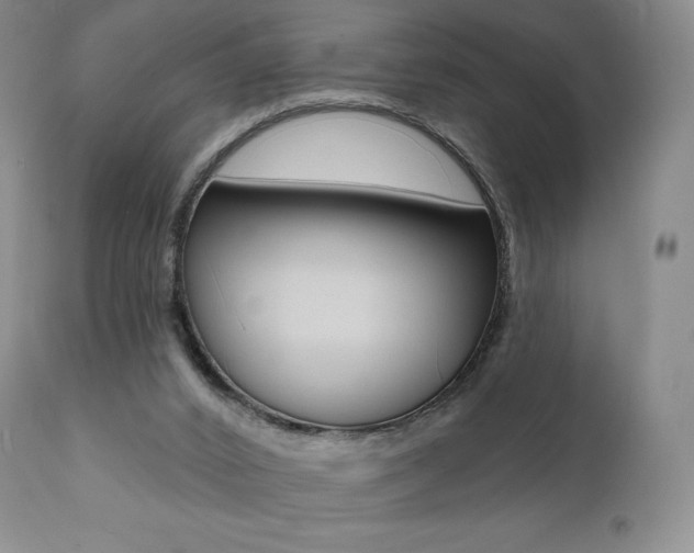 X0000112000016200908031058