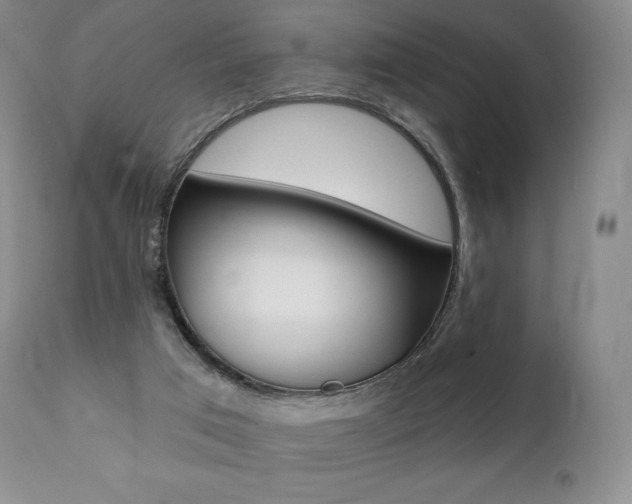 X0000112000017200908031058