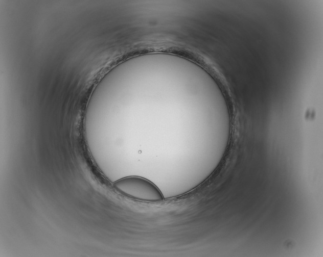 X0000112000018200908031058