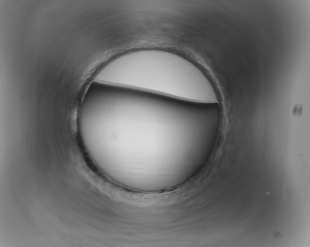 X0000112000019200908031058