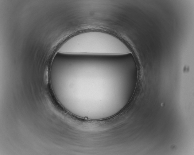 X0000112000020200908031058