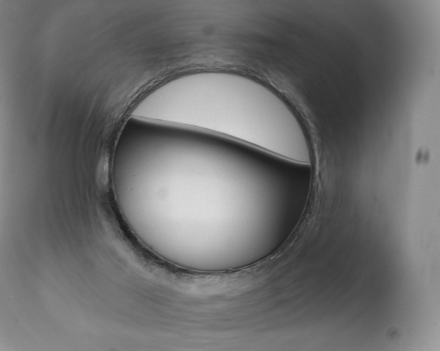 X0000112000021200908031058