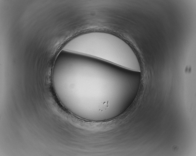 X0000112000023200908031058