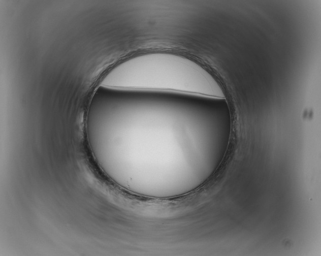X0000112000024200908031058