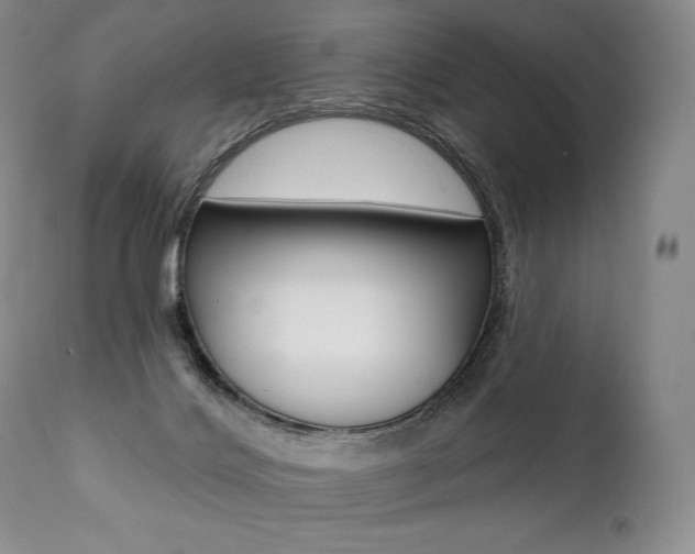 X0000112000028200908031057