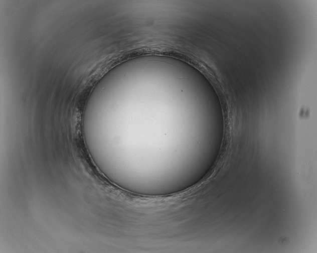 X0000112000029200908031057