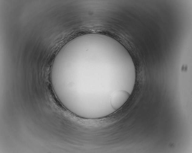X0000112000030200908031057