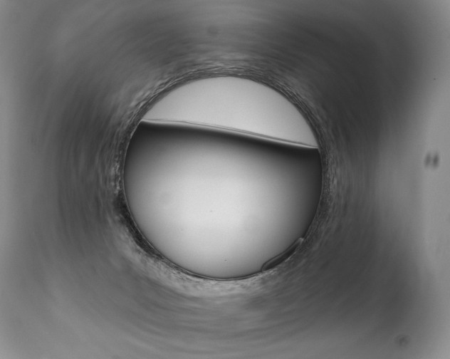 X0000112000031200908031057